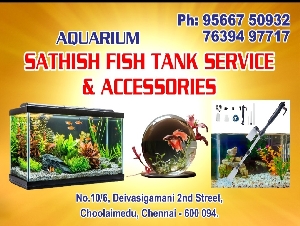 Sathish Fish Tank Service & Accessories