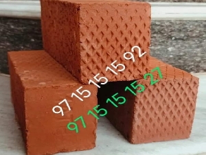 Bricks Praba