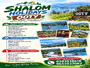 Shalom Holidays