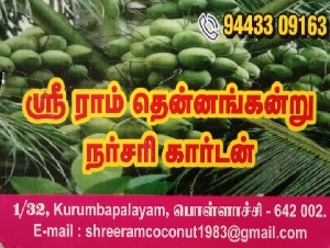 Shree Ram Coconut Nursery Garden