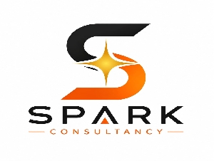 Spark Consultancy