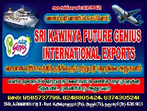 Sri Kawinya Future Genius International Exports