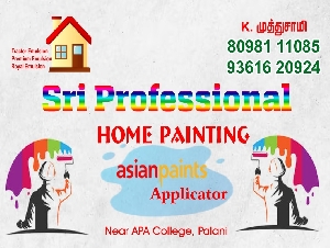 Sri Professional Home Painting