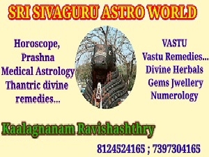 Sri Sivaguru Astro World