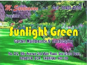 Sunlight Green Garden Maintenance & Landscaping