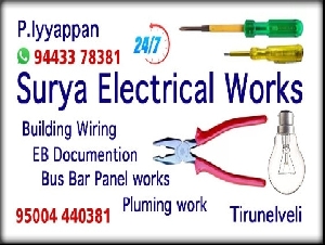 Surya Electrical Works 