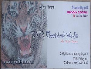 TIGER  Electrical and plumbing
