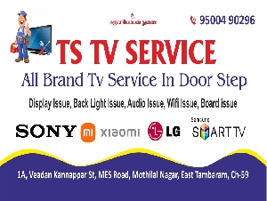 TS TV & Mobile Service