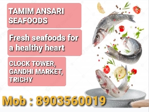 Tamim Ansari Seafoods