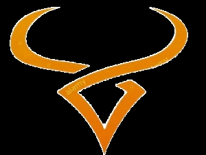 Taurus Electrical & Plumbing Work