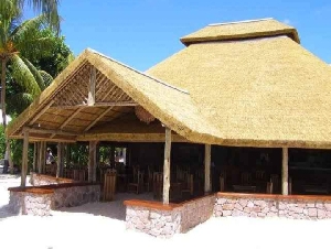 Thatch Natural Roofing