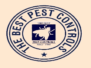 The Best Pest Controls