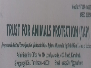 Trust For Animals Protection (TAP)