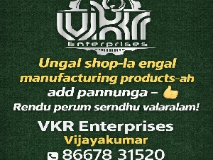 VKR Enterprises V2 Electric Mart