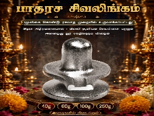 Vedha Cosmic Energy Centre