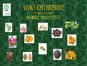 Yaso Enterprise