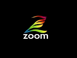 Zoom Interiors